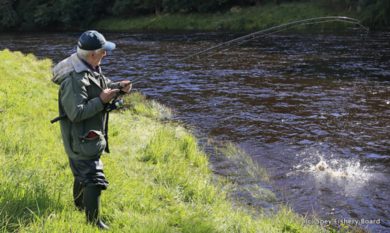Cosimo Imperiale Lurg Grantown